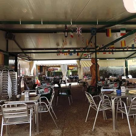 Sali * 펠레브라보